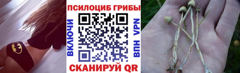 Псилоцибиновые грибы прущие грибы Чёрмоз